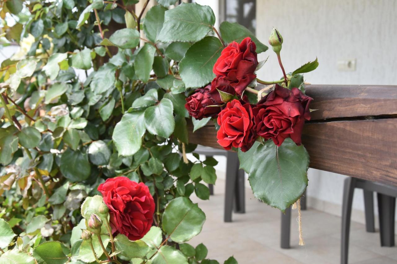 Три Кошки Otel Çornomorsk Dış mekan fotoğraf